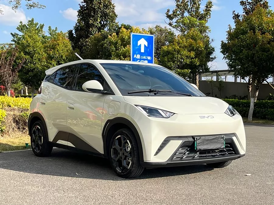 BYD Seagull