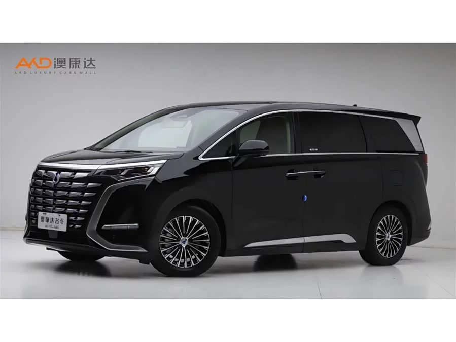 BYD D9