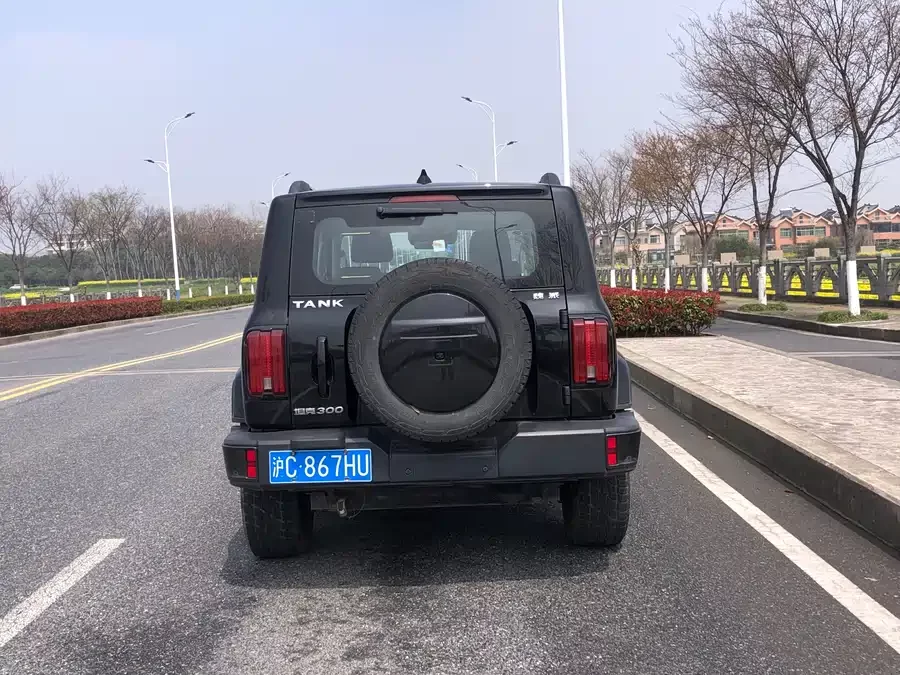 TANK 300