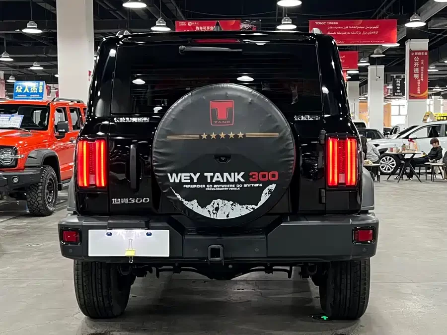TANK 300