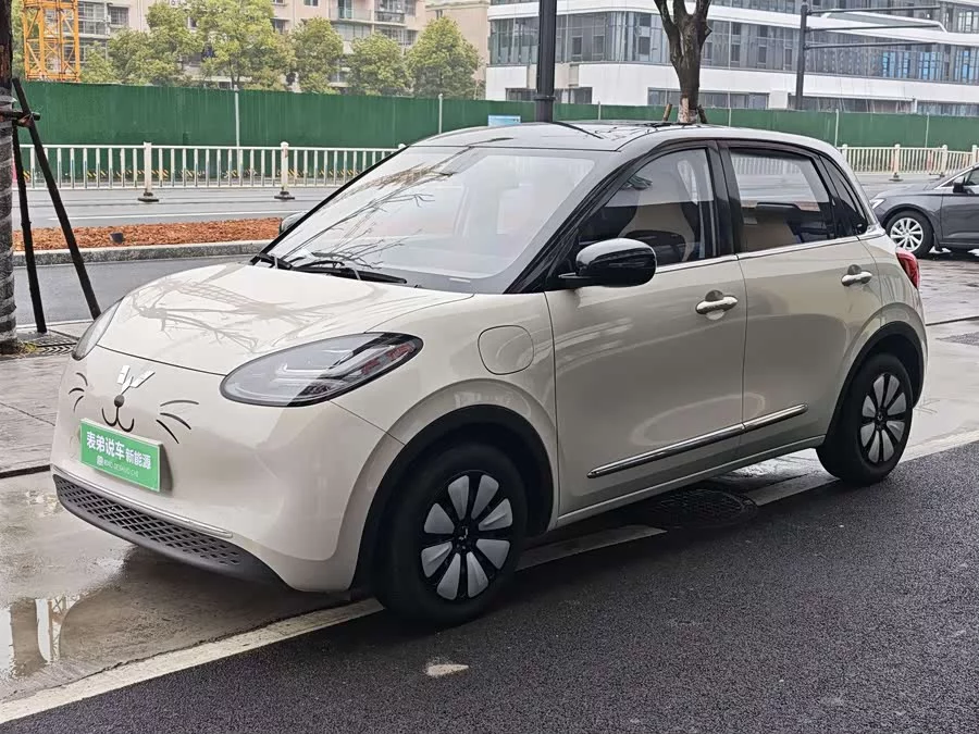 Wuling Bingo