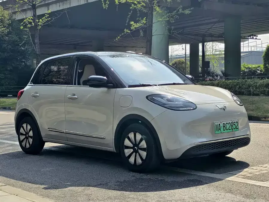 Wuling Bingo