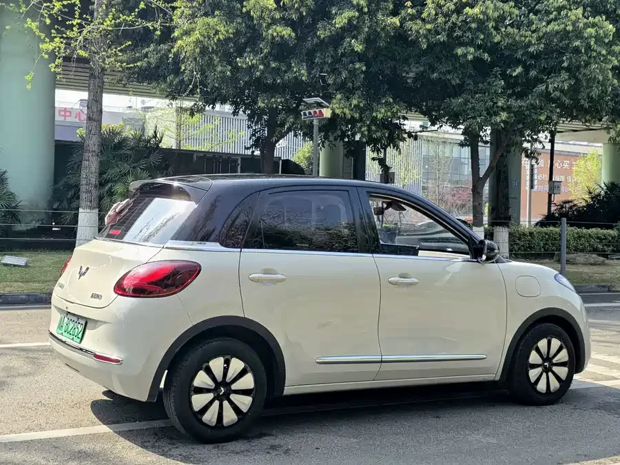 Wuling Bingo