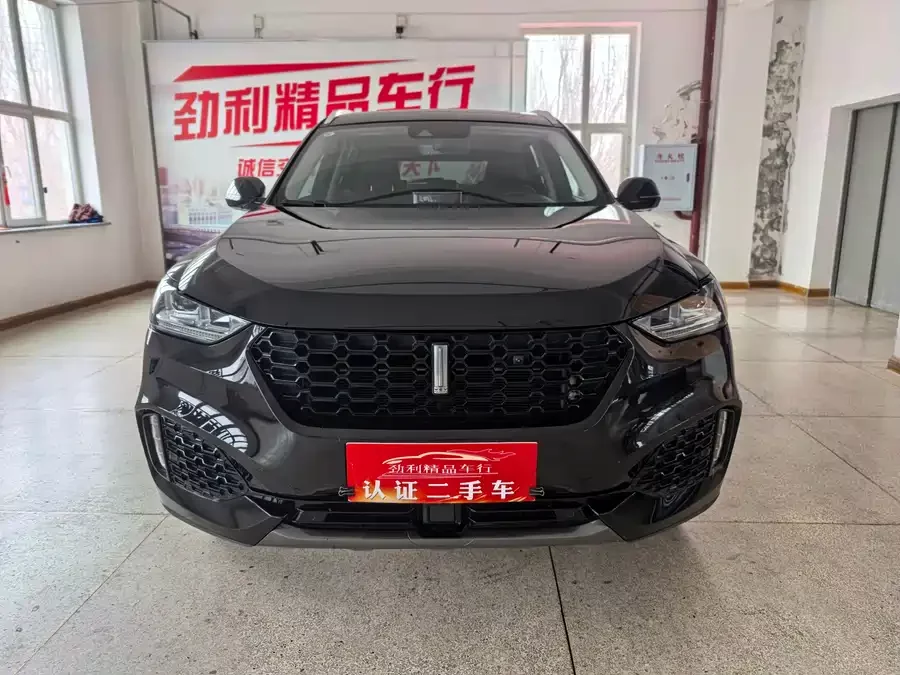 Wey VV6