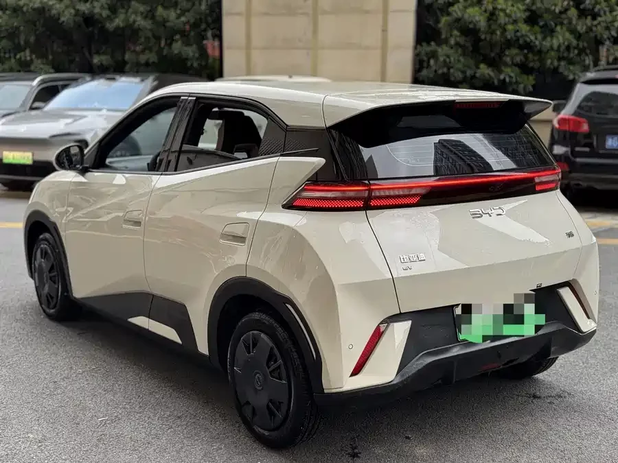 BYD Seagull