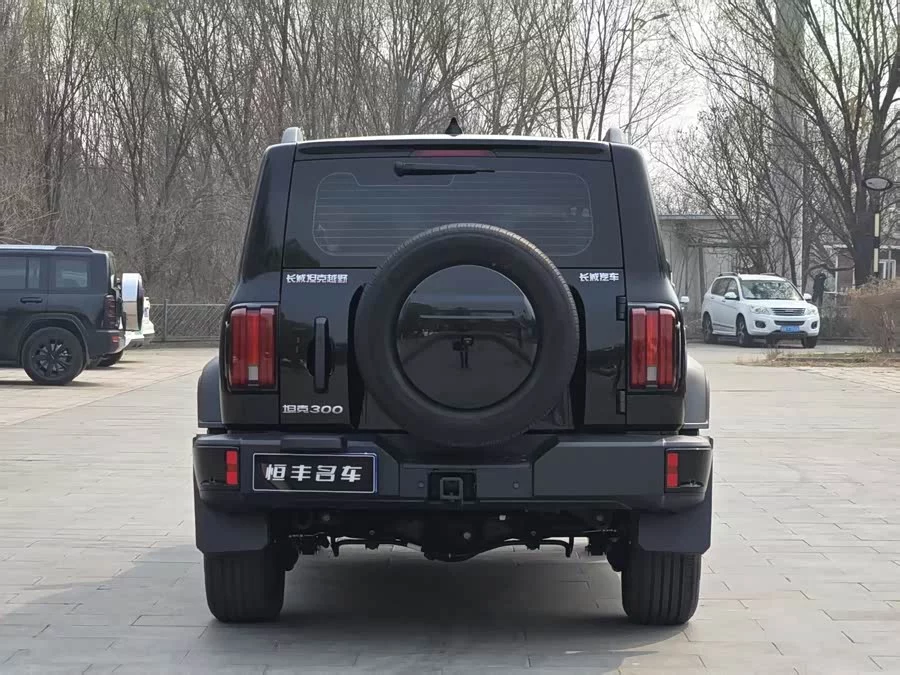 TANK 300