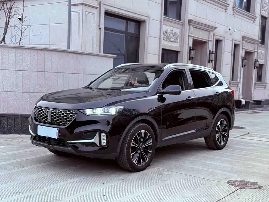 Wey VV6