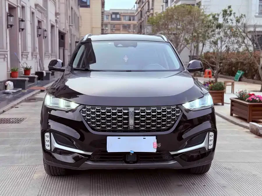 Wey VV6