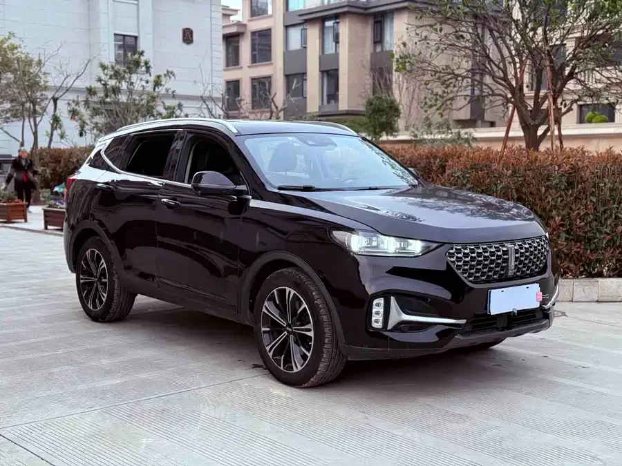 Wey VV6
