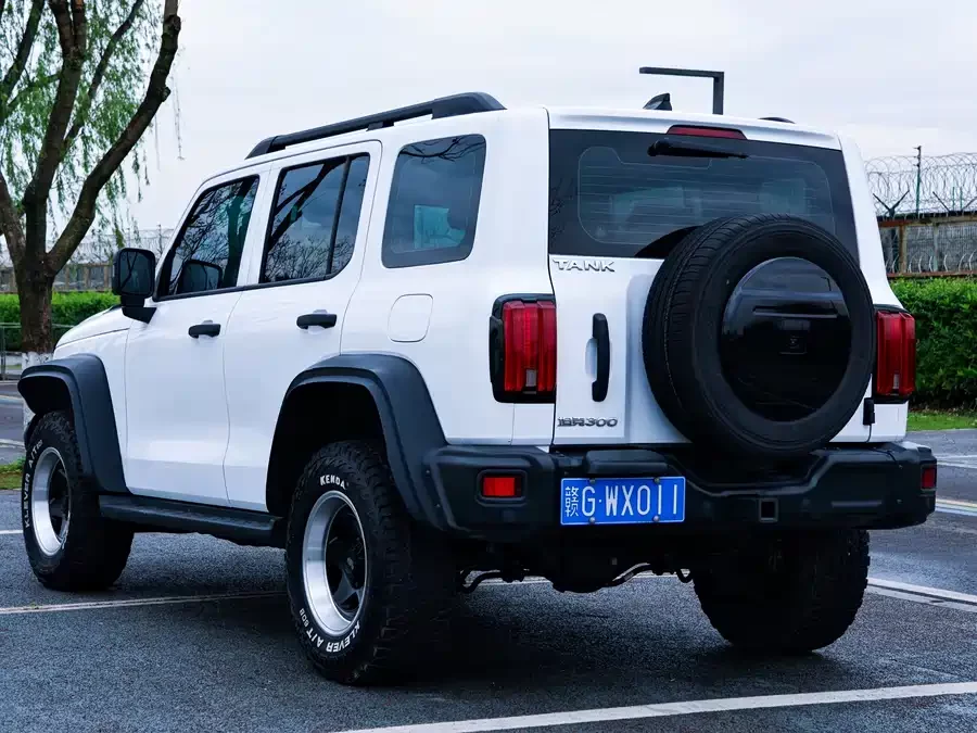 TANK 300