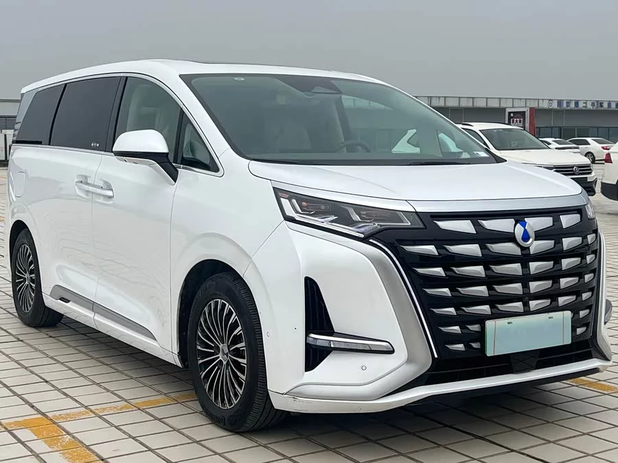 BYD D9