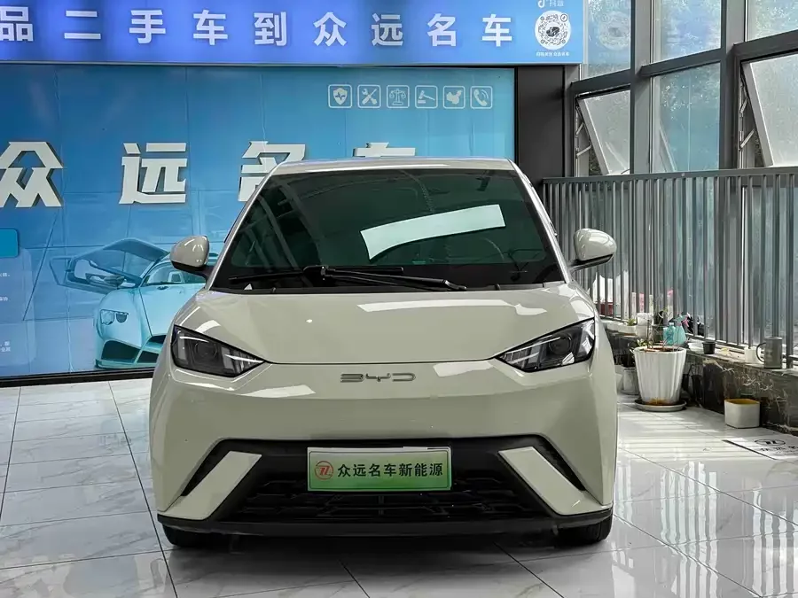 BYD Seagull