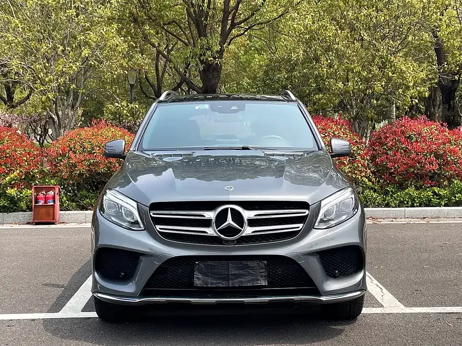 Mercedes Benz GLE (Imported)