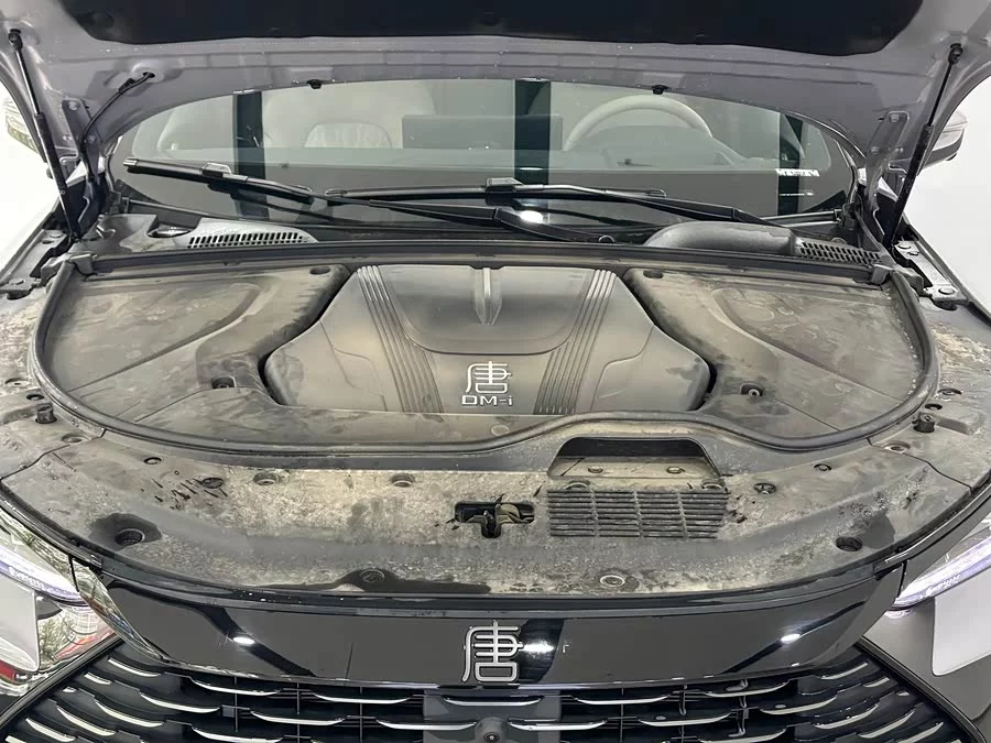 BYD Tang New Energy