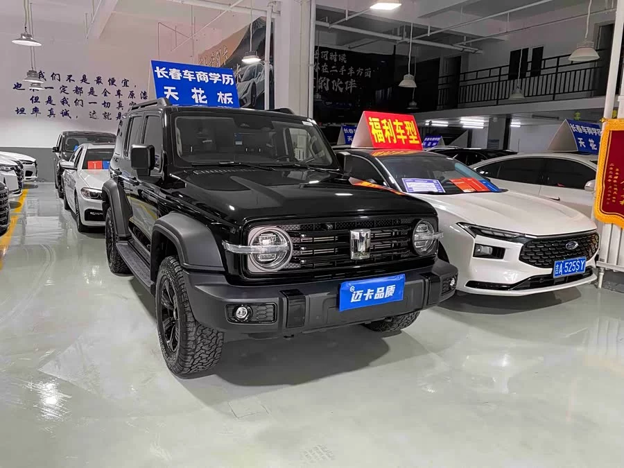 TANK 300