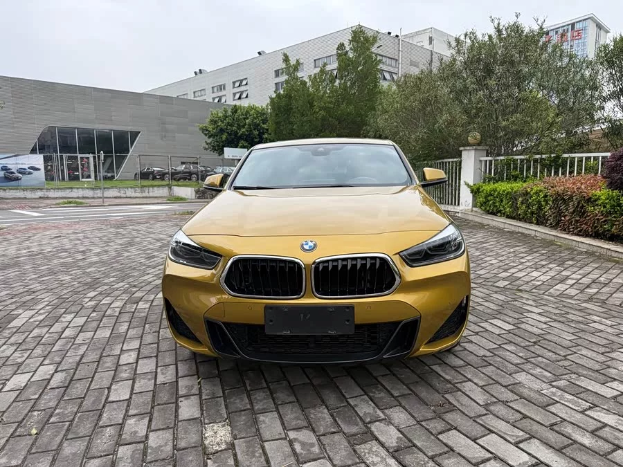 BMW X2