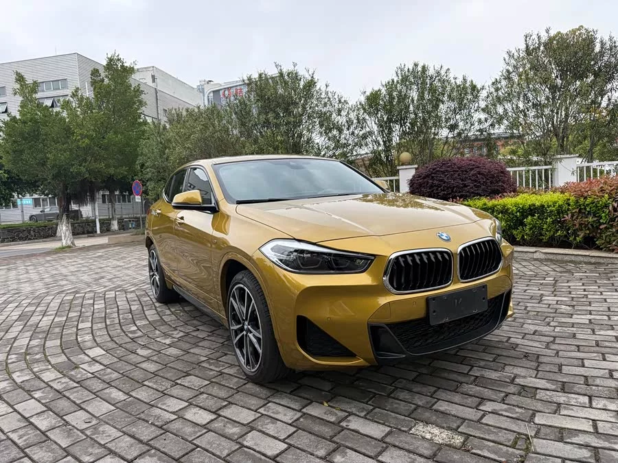 BMW X2