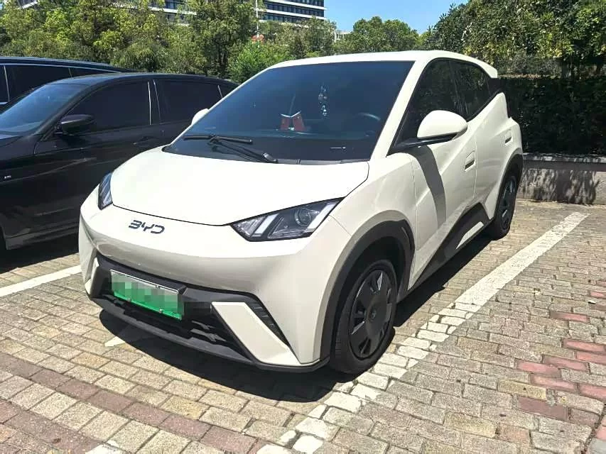 BYD Seagull