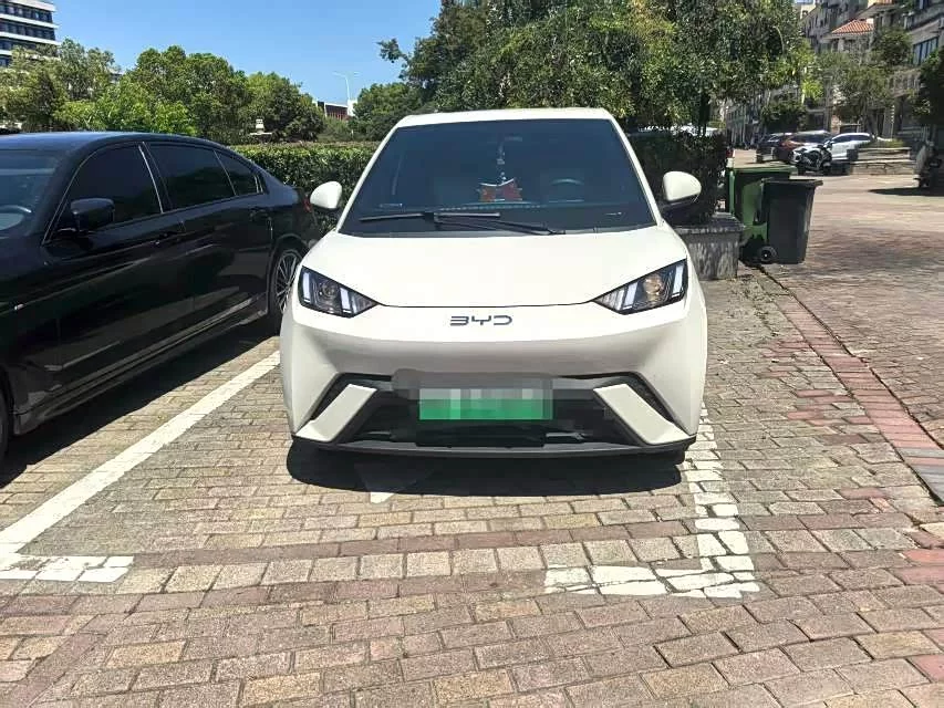 BYD Seagull