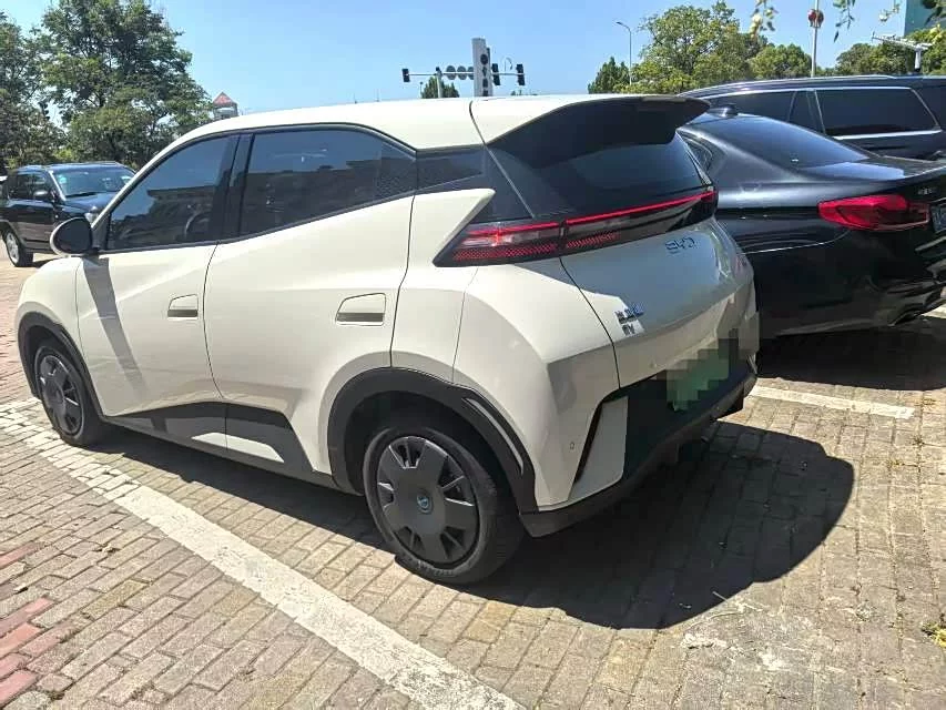 BYD Seagull
