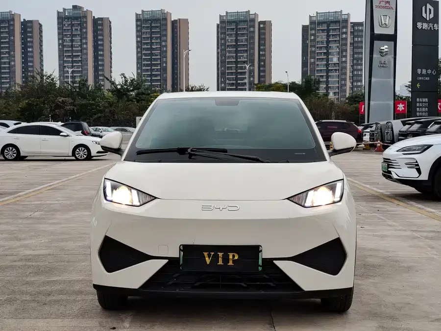 BYD Seagull