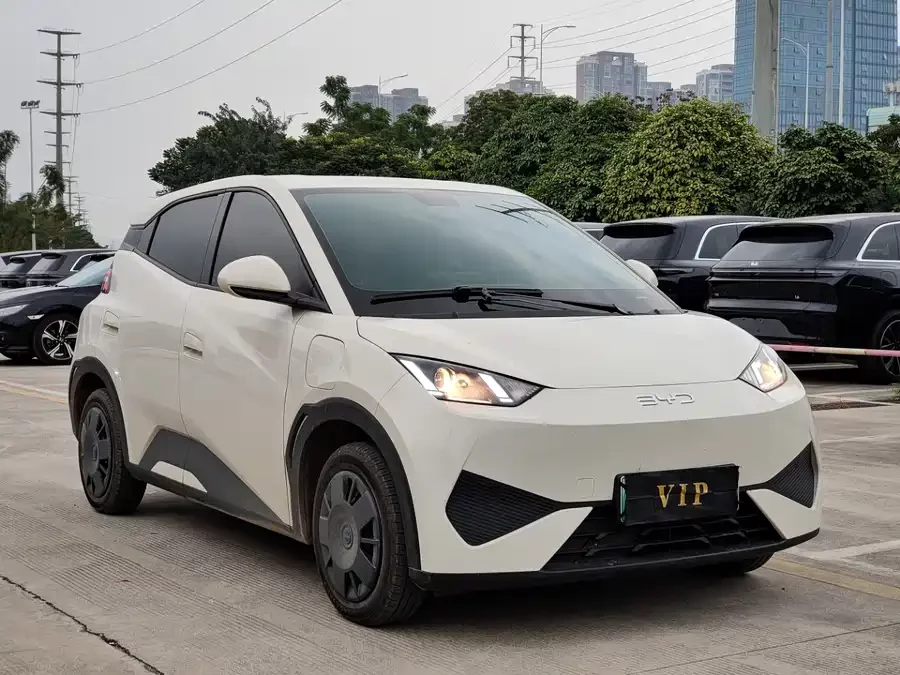 BYD Seagull