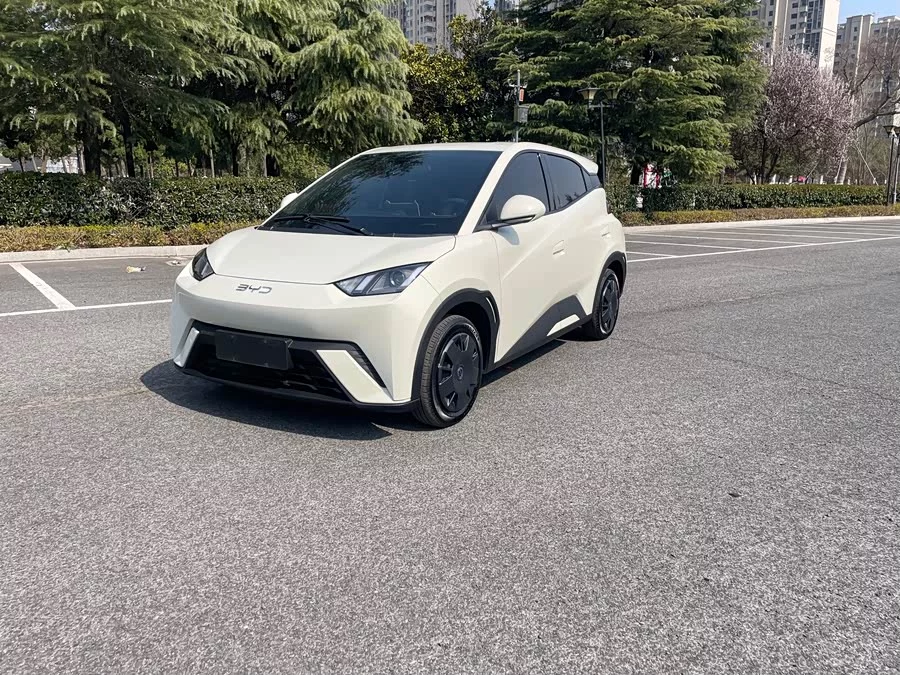 BYD Seagull