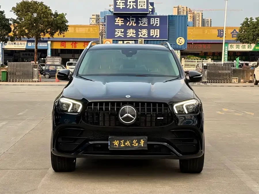 Mercedes Benz GLE (Imported)