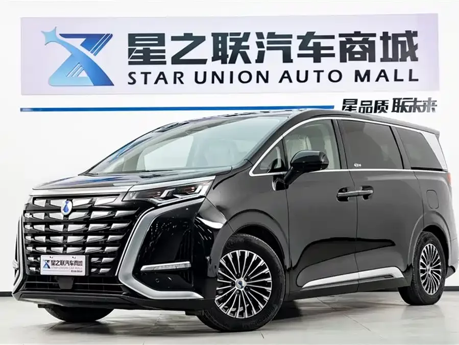 BYD D9