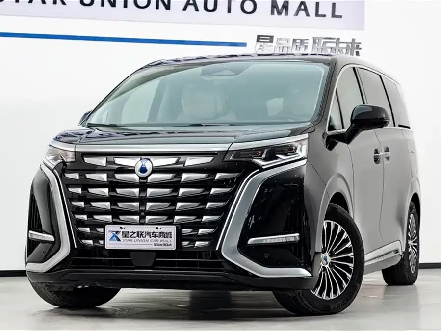 BYD D9