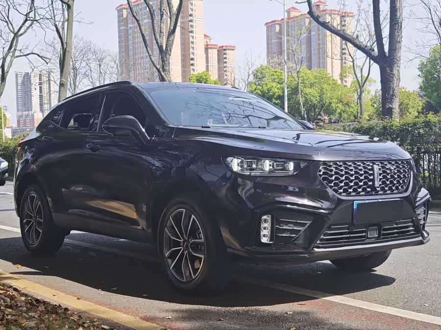 Wey VV5