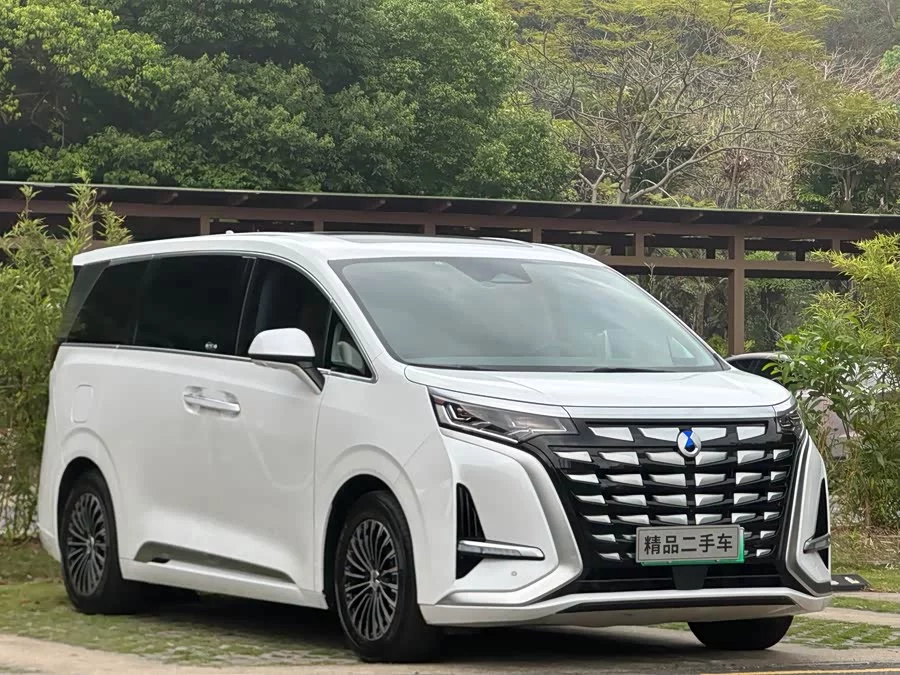 BYD D9