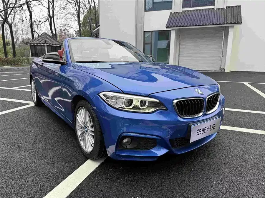 BMW 2 Series