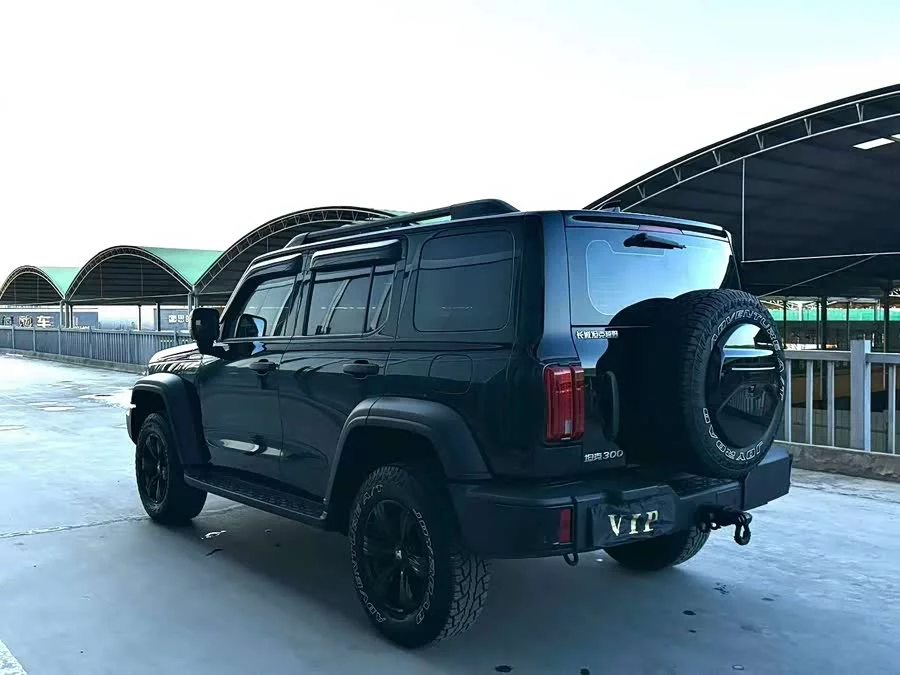 TANK 300