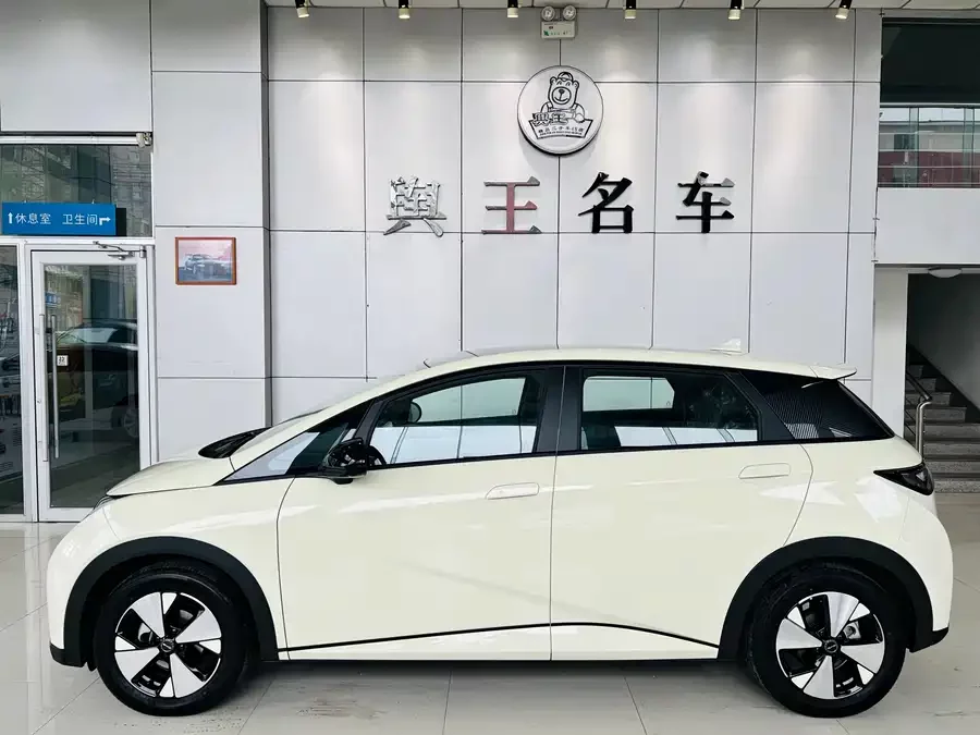 BYD Dolphin