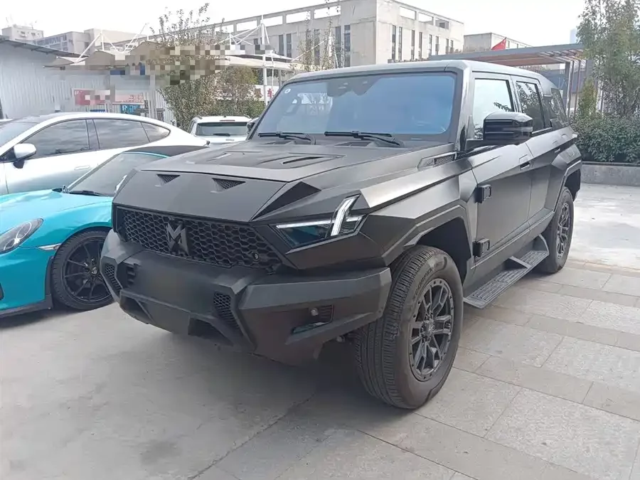 Mengshi 917