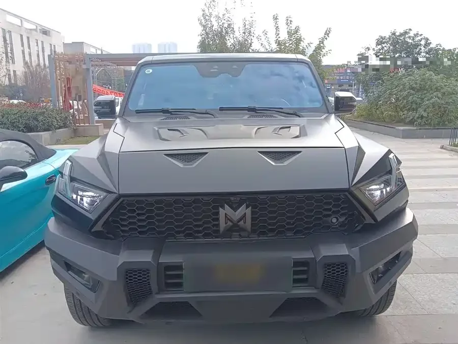 Mengshi 917