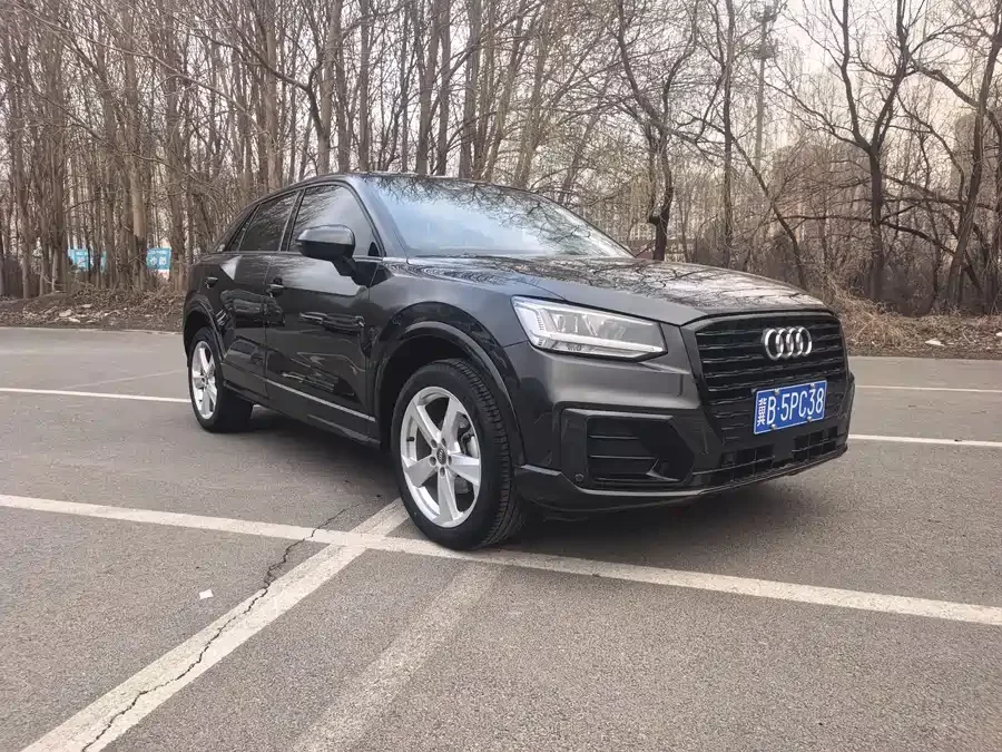 Audi Q2L