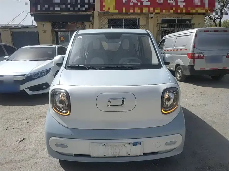 Pentium pony