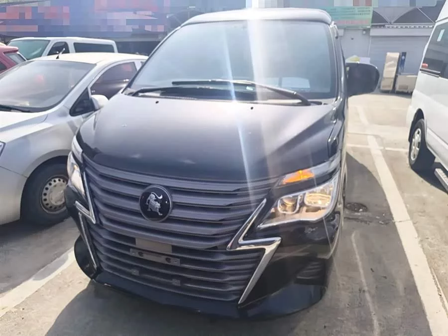 Dongfeng Lingzhi