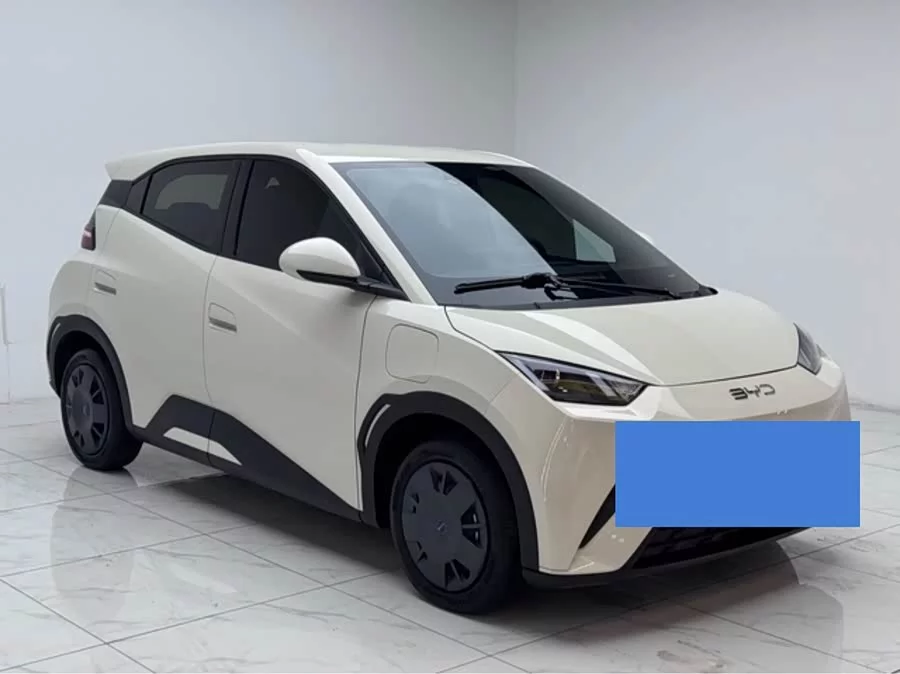BYD Seagull