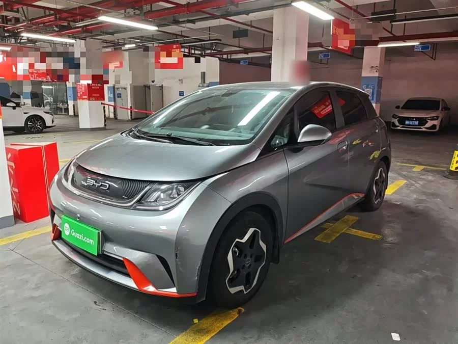 BYD Dolphin