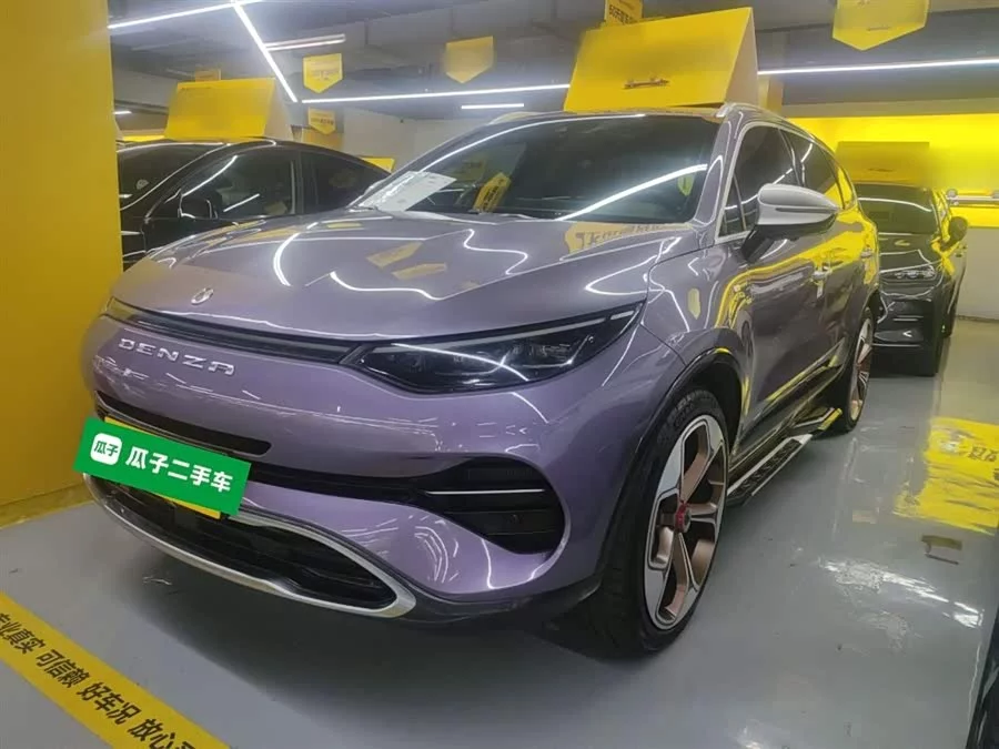 BYD X