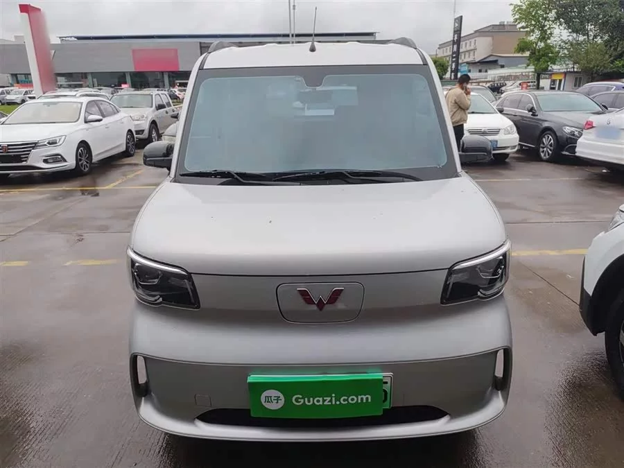 Wuling Zhiguang New Energy