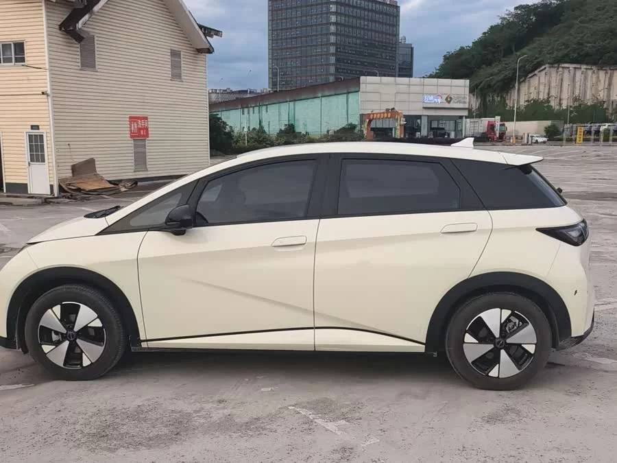 BYD Dolphin