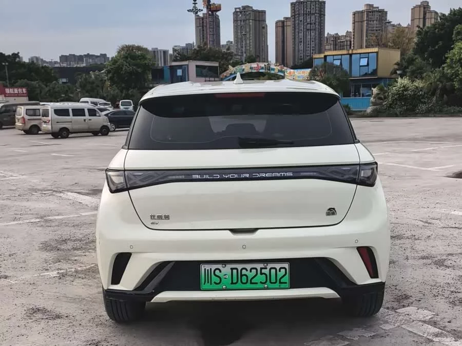 BYD Dolphin