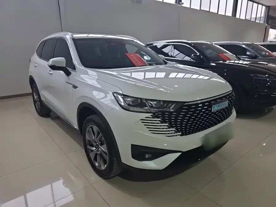 Haval H6 new energy