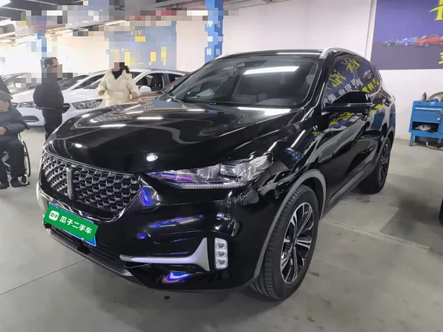 Wey VV6