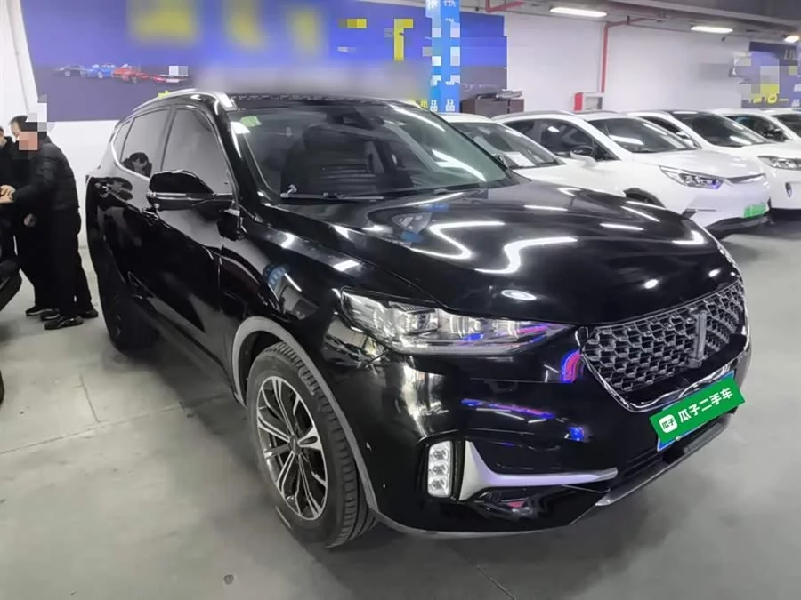 Wey VV6