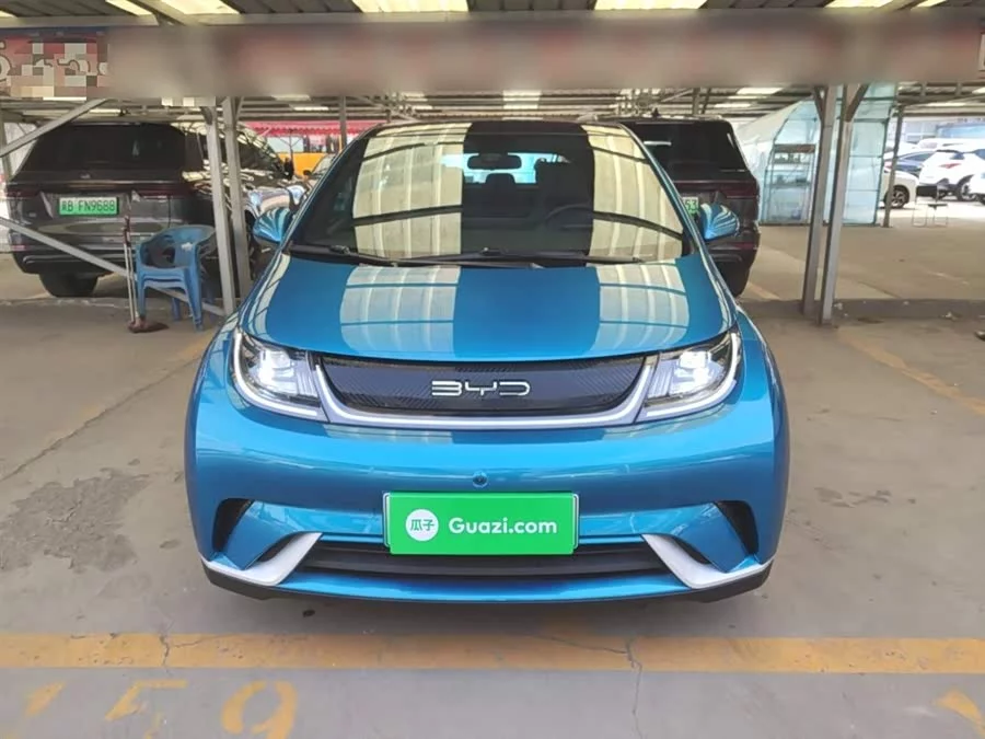 BYD Dolphin